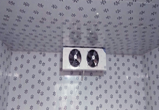 水果保鮮庫(kù)